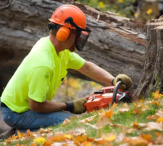 tree services Red River